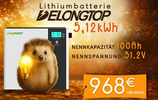 DelongTop 51,2V 314Ah 16kWh Lithium-Batterie zum Preis von 2890€ inkl. MwSt.
